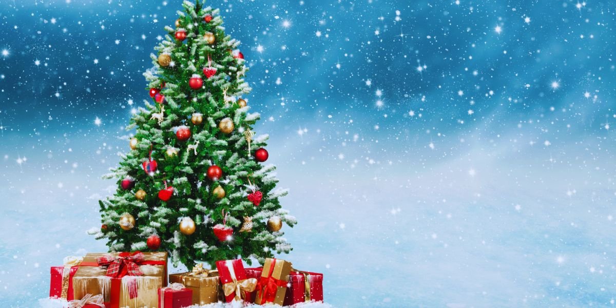 sapin de noel sur fond bleu