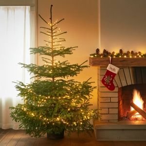 sapin nordmann 170cm dans maison près d'une cheminée